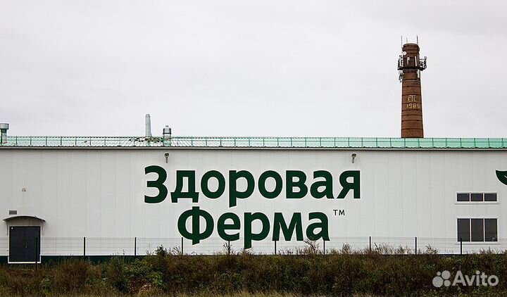 Граффити оформление и роспись стен