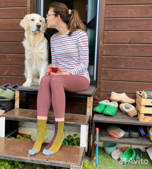 Передержка собаки дома VIP