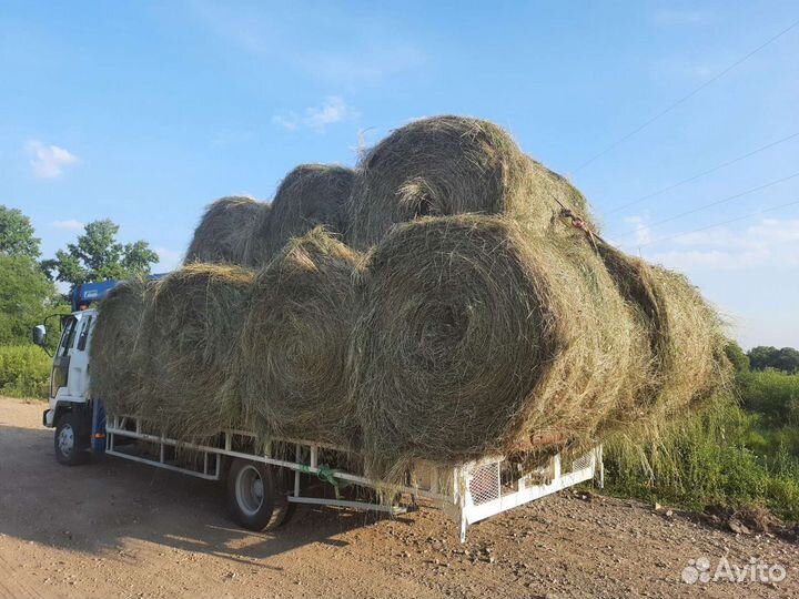 Продам сено 2024г. Разнотравие