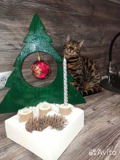 Бенгальский кот вязка