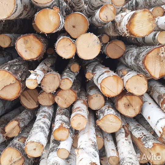 Дрова осина