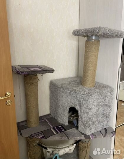 Домик для кошки бу