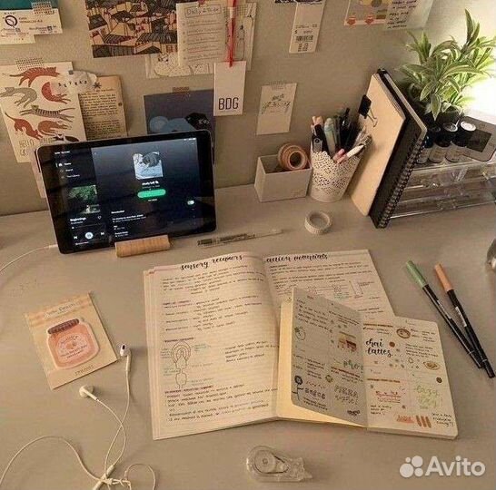 Помощь школьникам: проекты, конспекты, рефераты