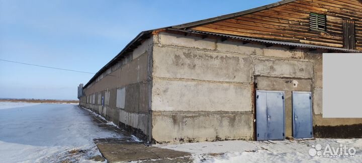 Производство грибов вешенка