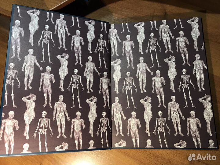 Анатомикум книга кэти видеман дженнифер пакстон
