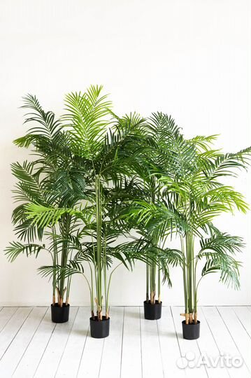 Искусственное дерево Пальма Хамедорея
