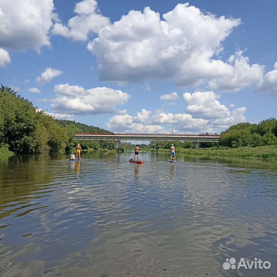 Сплав на сапборде