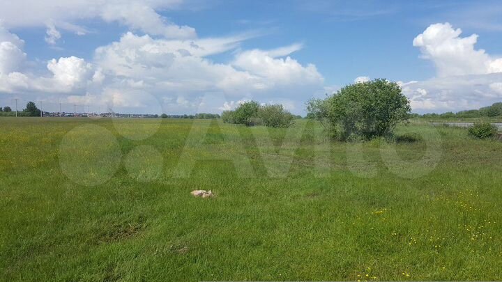 Участок 10 сот. (ИЖС)