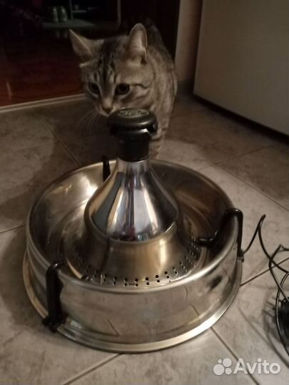 Фонтан поилка для кошек и собак drinkwell 360