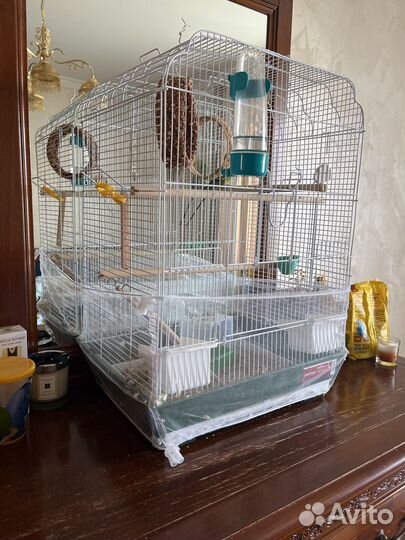 Волнистый попугай с клеткой