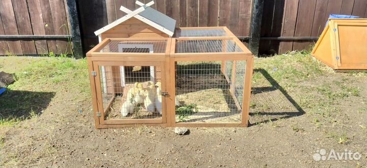 Курятник-утятник Комфорт мини