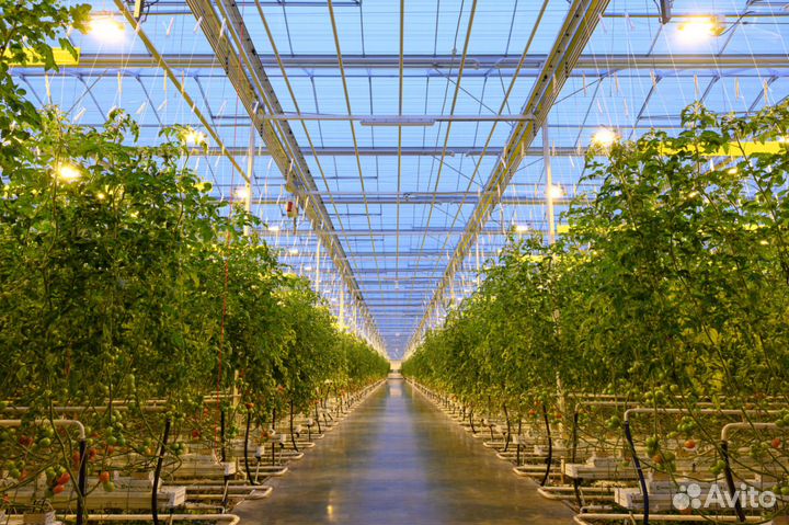 Разнорабочие на подработку с ежедневный оплатой