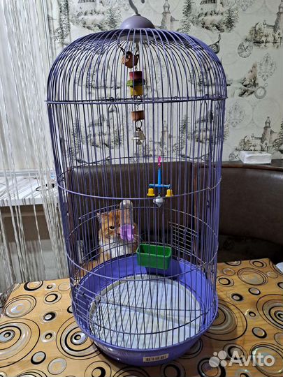 Клетка для попугая