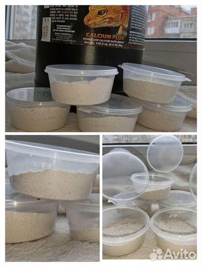 Repashy витамины, кальций для рептилий, эублефары