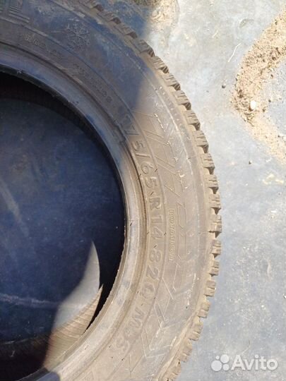 Amtel NordMaster 175/65 R14