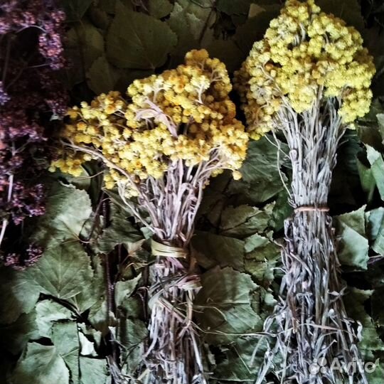 Веник дубовоберёзовые и берёзовые