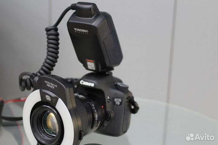 Макро Canon 7D +Tamron 90mm/2.8 +вспышка