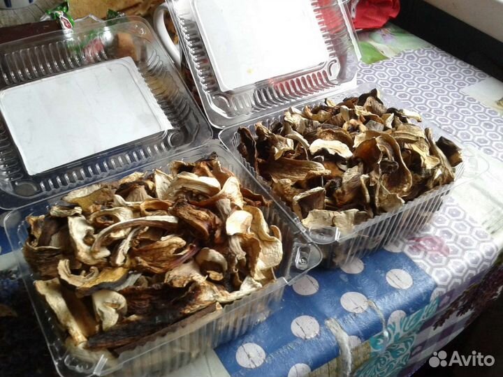 Сушенные грибы
