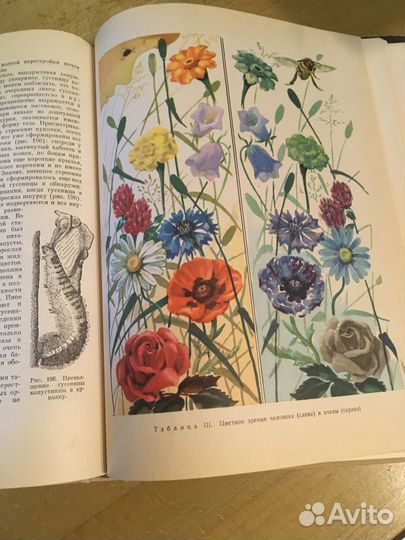 Зоология для учителя 1968 г. Яхонтов