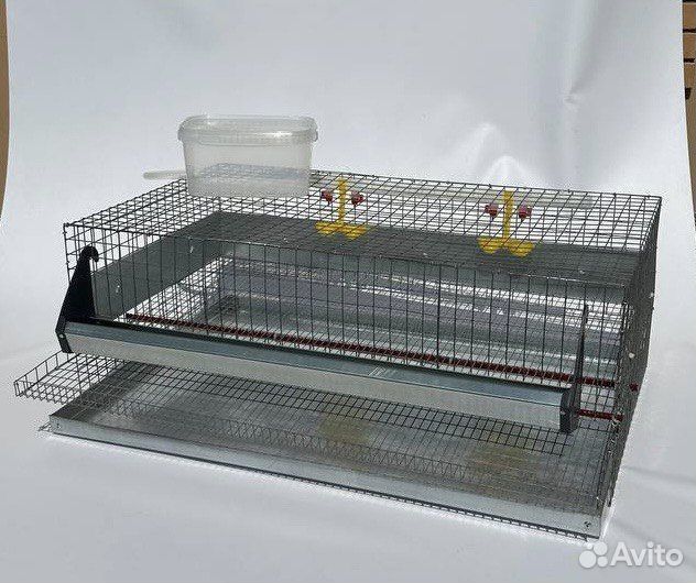 Клетки для 30 перепелов