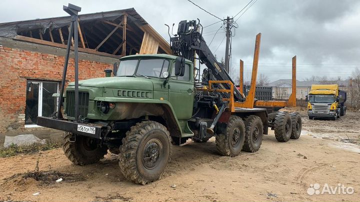 Услуги мульчера