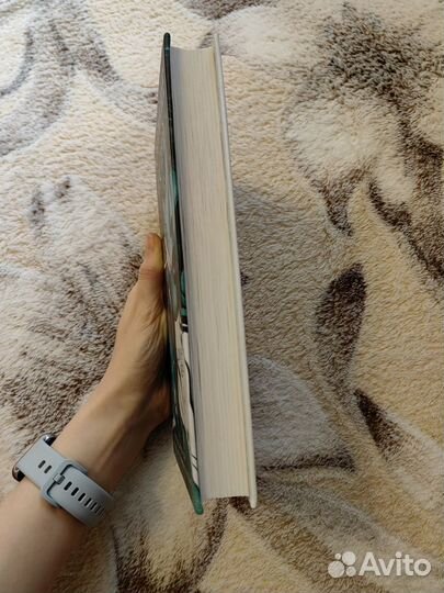 Книга Джун Хер Молчание костей