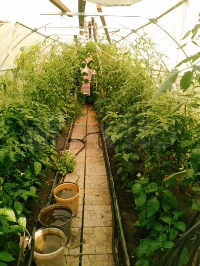 Дача 49 м² на участке 4,2 сот.