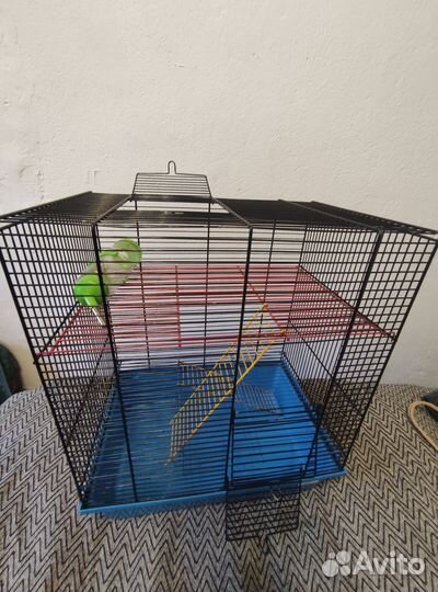 Клетка для грызунов бу
