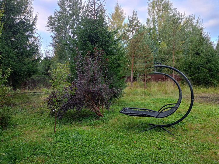 Участок 8 сот. (СНТ, ДНП)