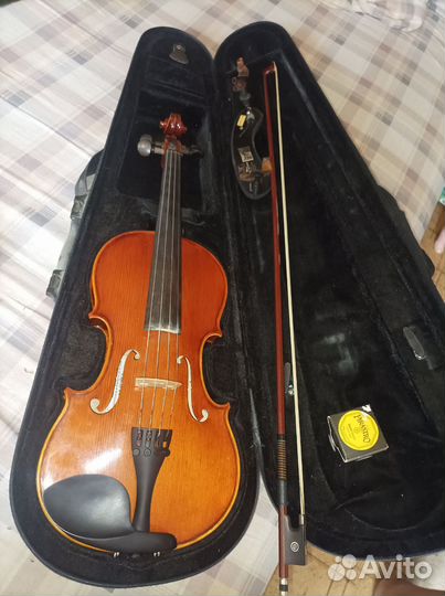 Скрипка (полный комплект)