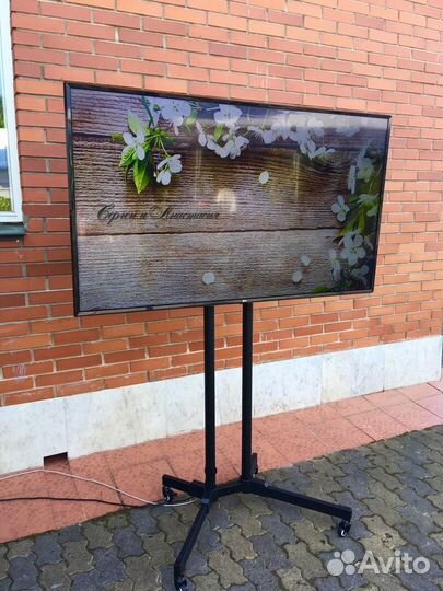 Аренда (прокат) плазм телевизоров