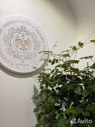 Репетитор по математике