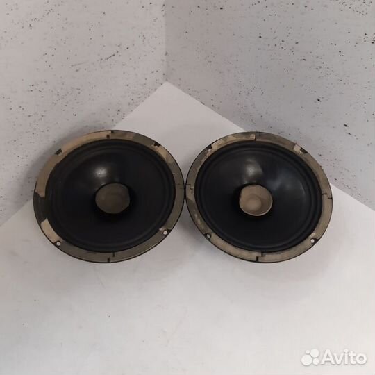 Колонки Avatar BBR-80 (Рассрочка / Э1)