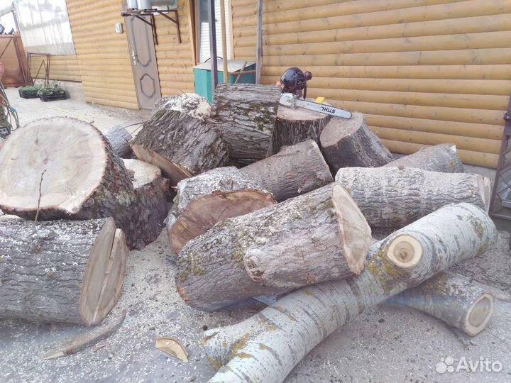 Спил деревьев