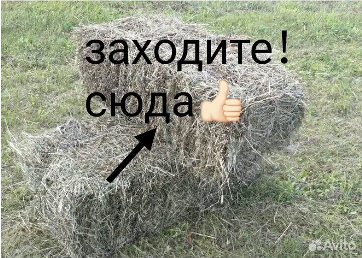 Сено в тюках. Чистое