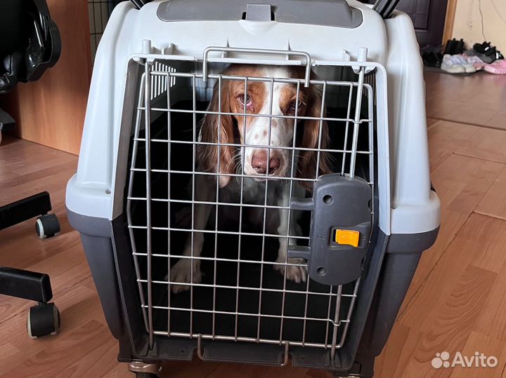 Переноска MPS Skudo 4