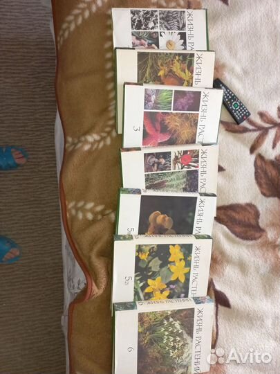 Энциклопедия