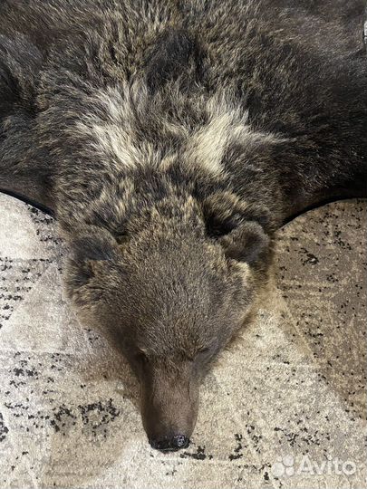 Шкура ковер медведя ''имитация''