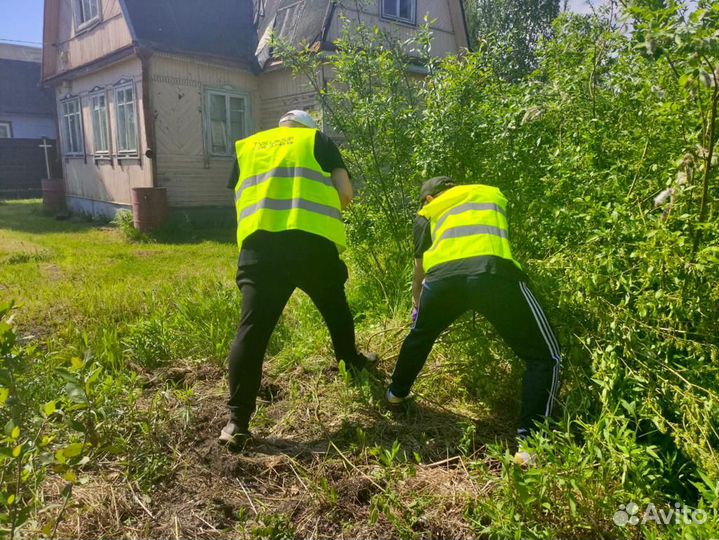 Разнорабочие на копку. Рабочие. Уборка участка