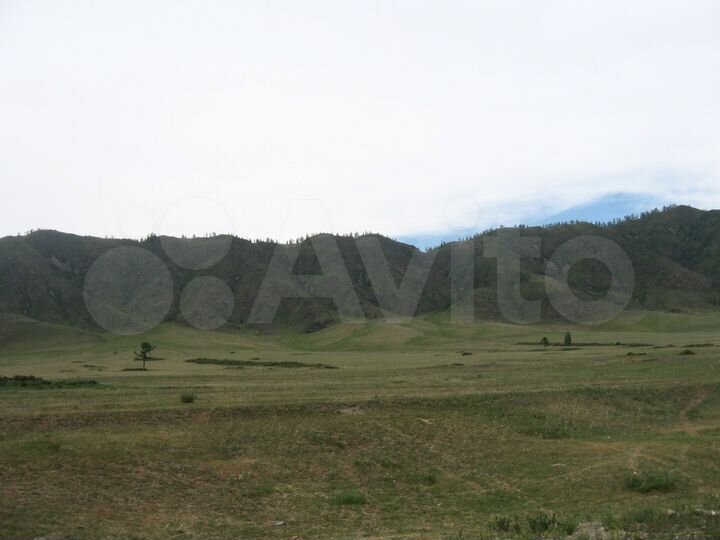 Участок 2 га (СНТ, ДНП)