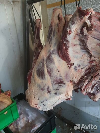 Мясо говядина домашняя телятина-быки свежее