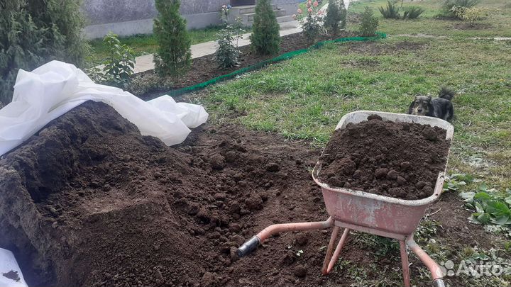 Навоз, перегной