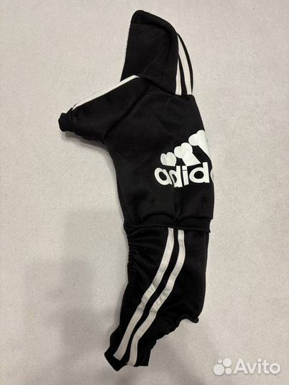 Одежда для маленьких собак