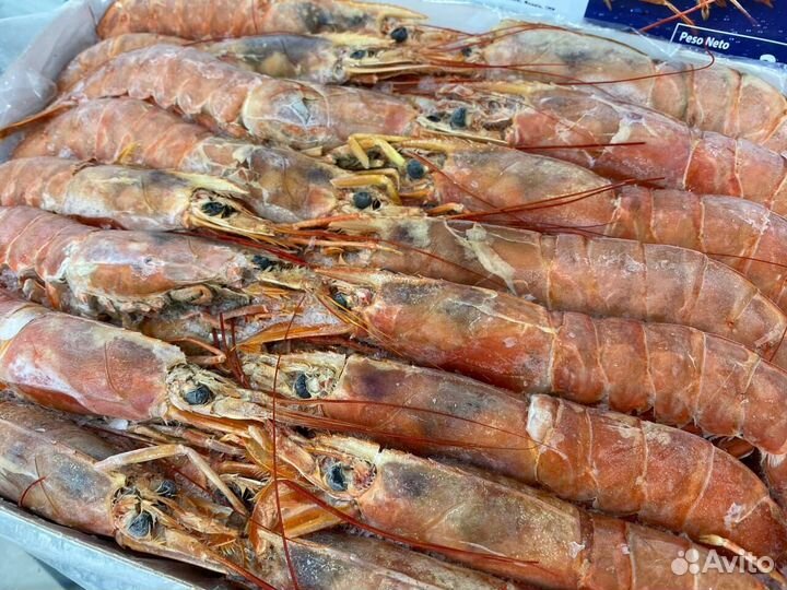 Лангустины L1 крупный. Упаковка 2 кг