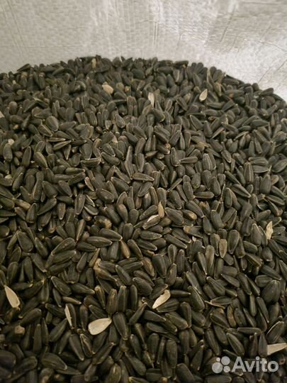 Семечка на корм