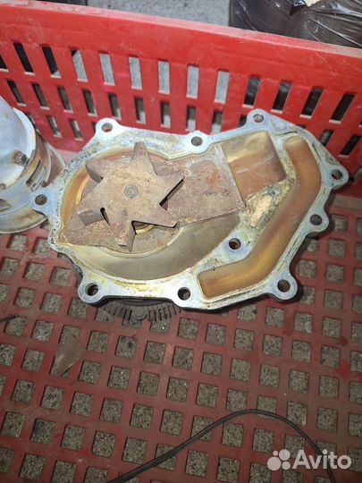 Помпа zd30 nissan patrol y61