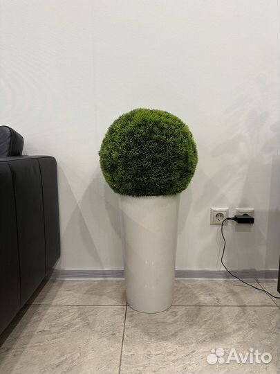 Искусственные шар туя
