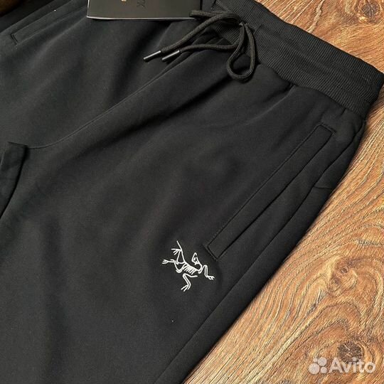 Штаны arcteryx