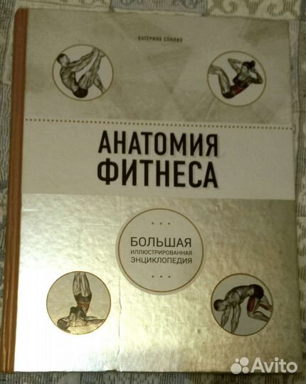 Анатомия фитнеса