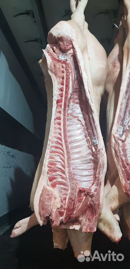 Мясо свинина полутуши